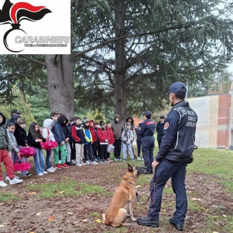 Carabinieri Forestali in prima linea per la Giornata nazionale degli alberi